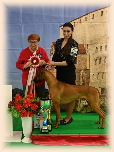 Winner 21.03.2026 Winner 21.03.2026