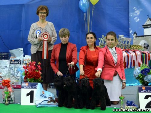 BEST BREEDERS BEST BREEDERS