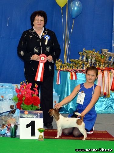 JUNIOR HANDLER