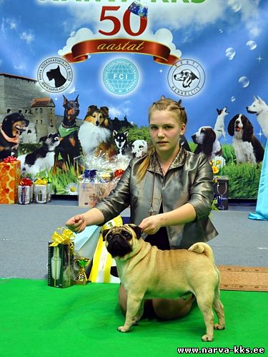 JUNIOR HANDLER