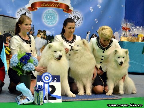 BEST BREEDERS BEST BREEDERS
