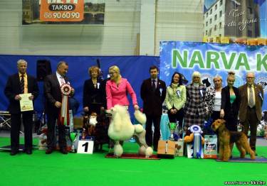 Narva Dog Show