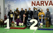 Final Narva Dog Show