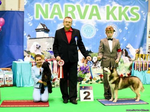 PARIM JUUNIOR HANDLER PARIM JUUNIOR HANDLER
