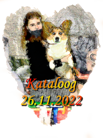 Каталог 26.11.2022